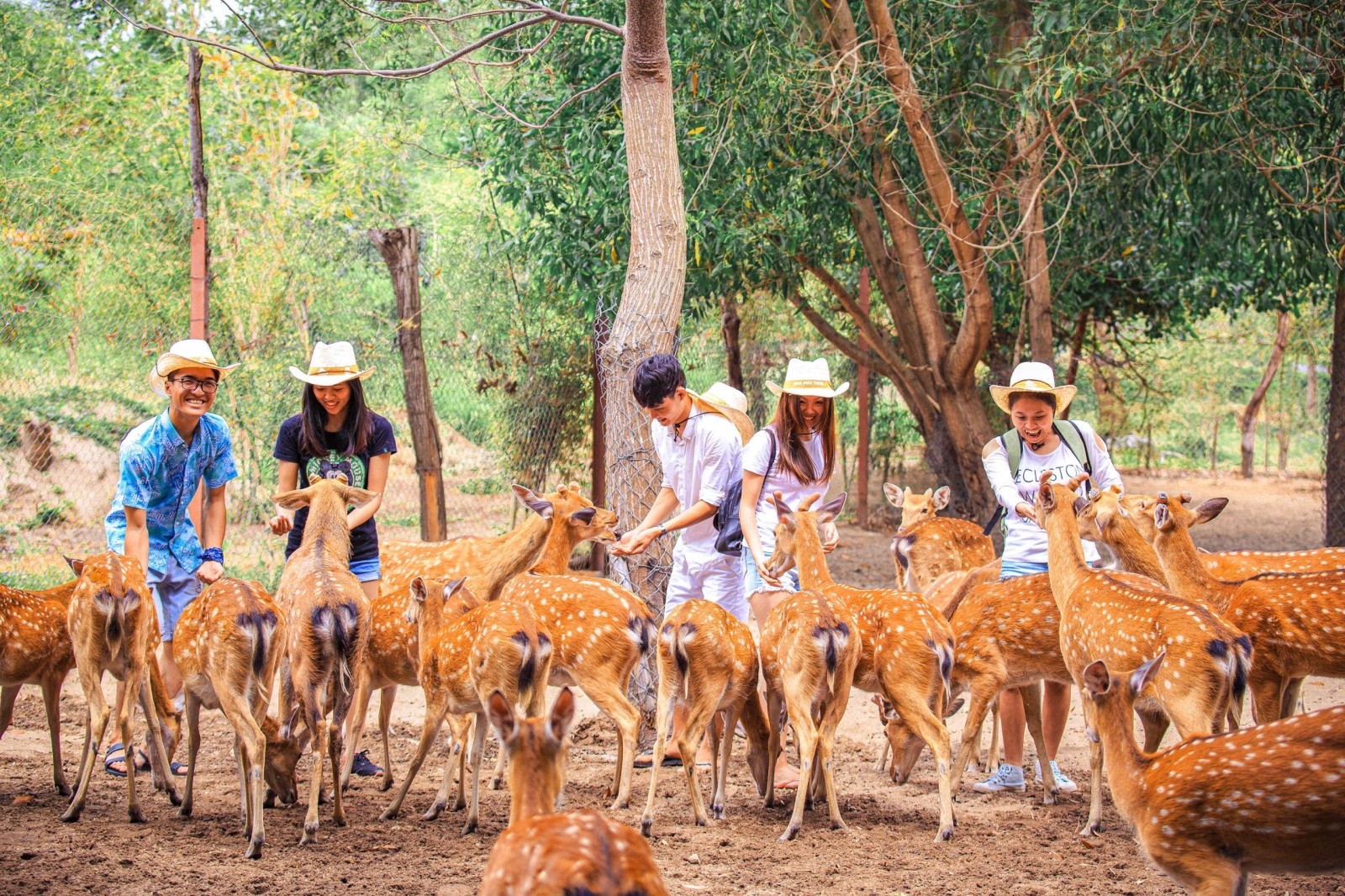 tour cam trai ngam hoang hon vinh nha phu (3)