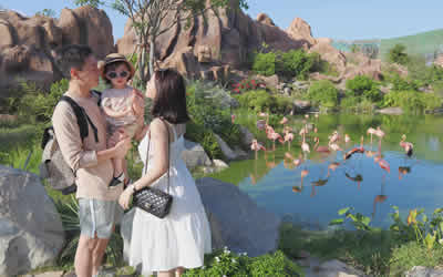 Review kinh nghiệm đi Vinpearl Land Nha Trang